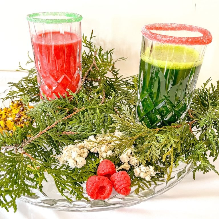 Verre avec boissons fait à base de fleurs, fruits et conifères