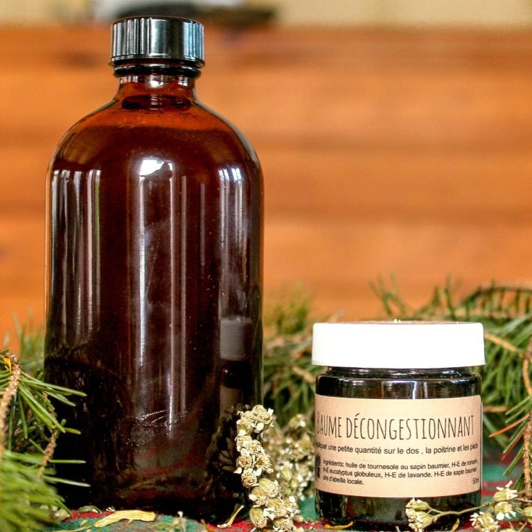 PRÉPARER-HIVER-AVEC-LES-PLANTES-maison-des-forestibles