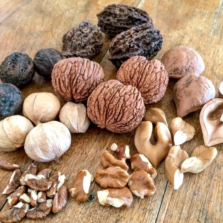 Variété de noix sur une table à la Maison des Forestibles de l'Abbaye