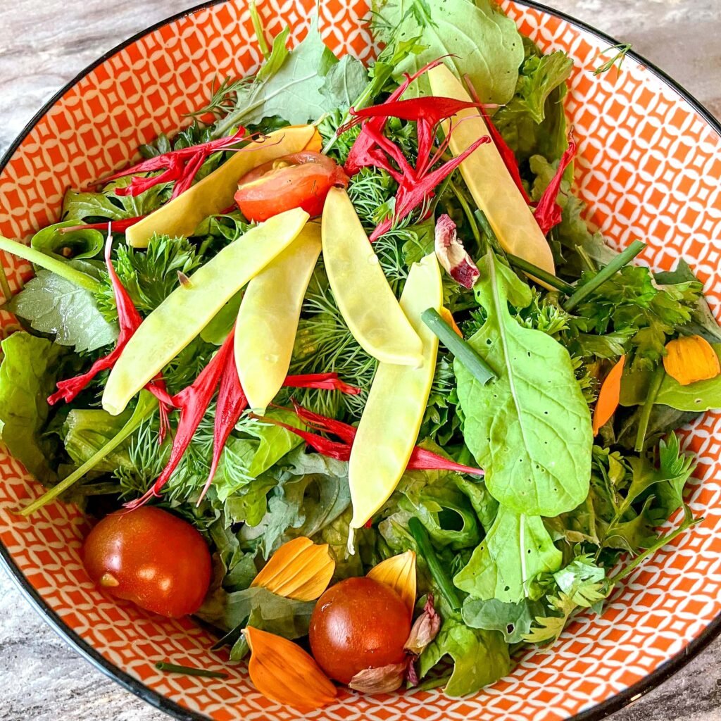 Assiette avec verdures à la Maison des Forestibles de l'Abbaye