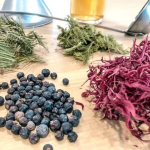 Herbes sur la table pour la fabrication de gin et liqueur de sapin