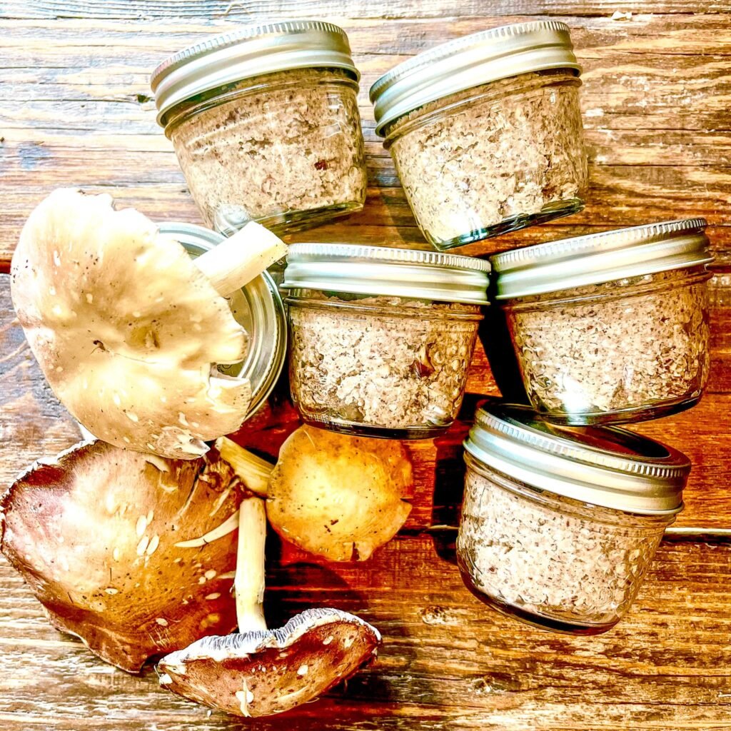 Mélange de champignon pour cuisiner des plats de l'entrée au dessert